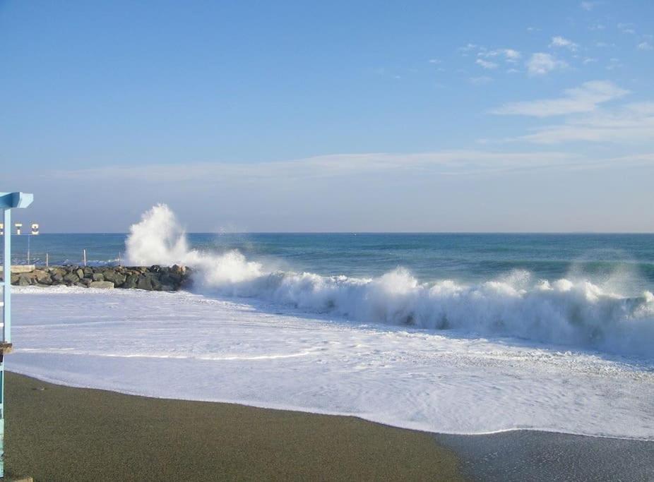 شقة Le Finestre Sul Mare ألبيسولا مارينا المظهر الخارجي الصورة